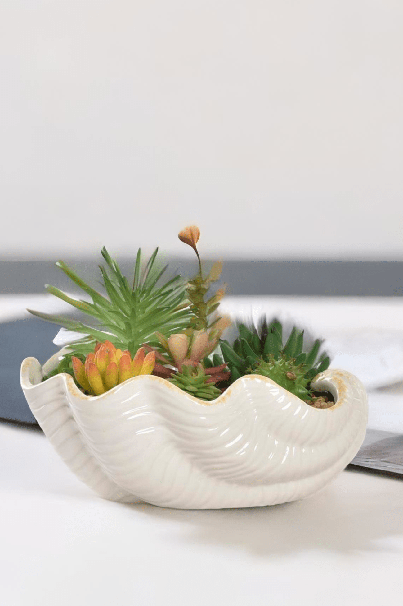 Item International Skal Piantina artificiale con vaso in ceramica a forma di conchiglia