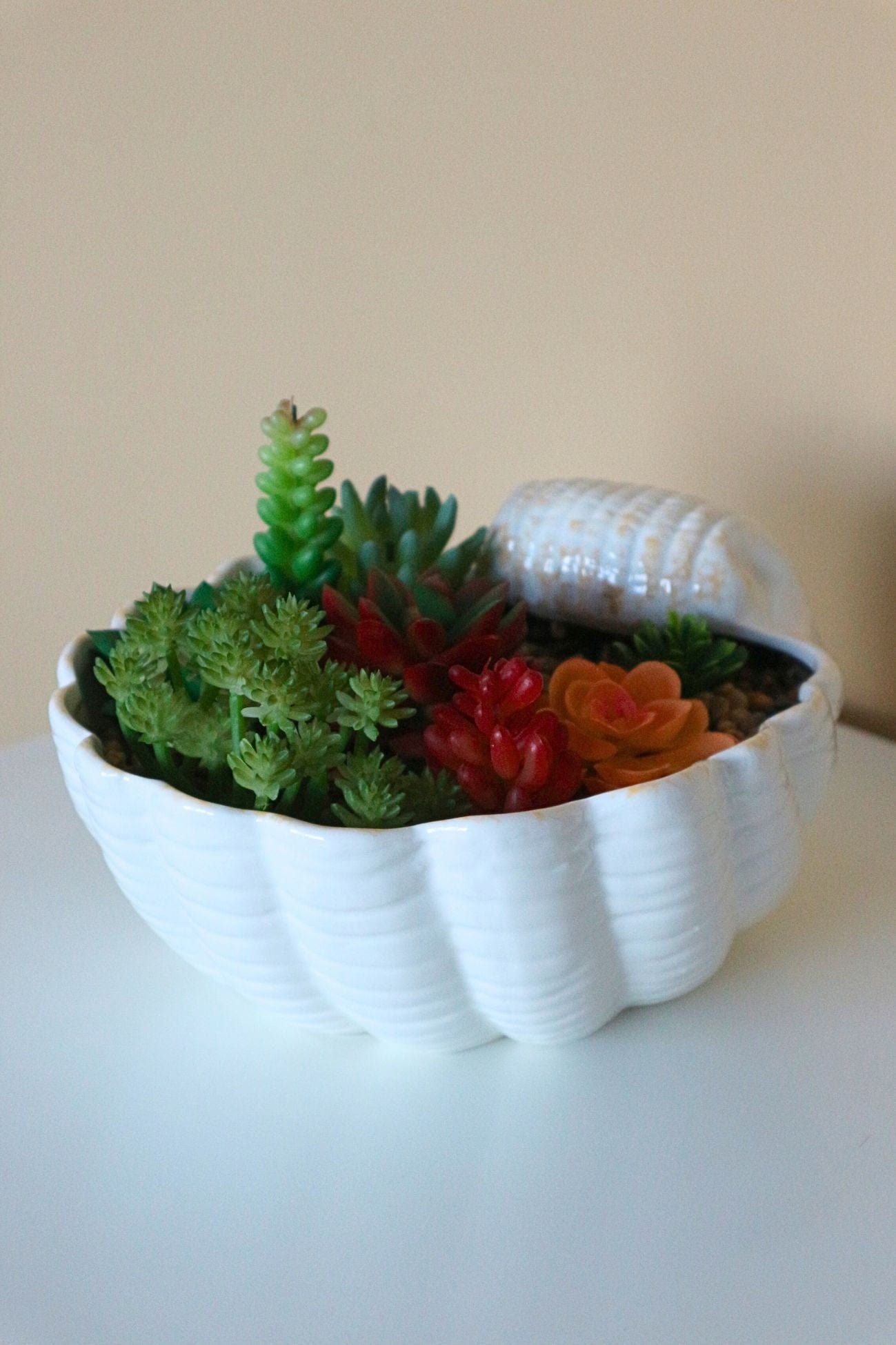 Item International Skal Skal - Piantina artificiale con vaso in ceramica a forma di conchiglia | Item International