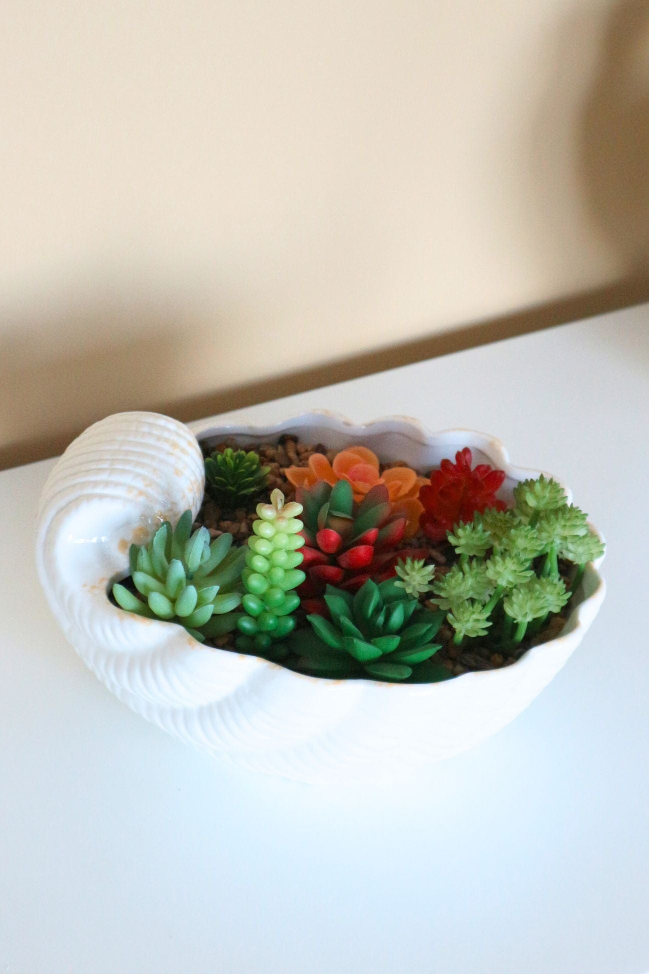 Item International Skal Skal - Piantina artificiale con vaso in ceramica a forma di conchiglia | Item International