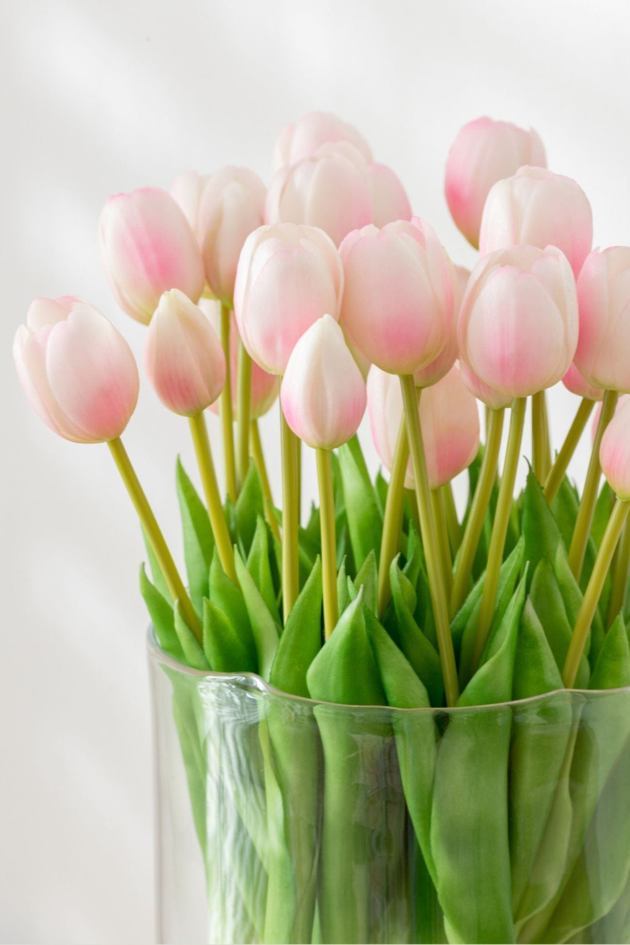 Jolipa Aletheia Aletheia - Mazzo di 5 tulipani artificiali color rosa 40 cm | Jolipa
