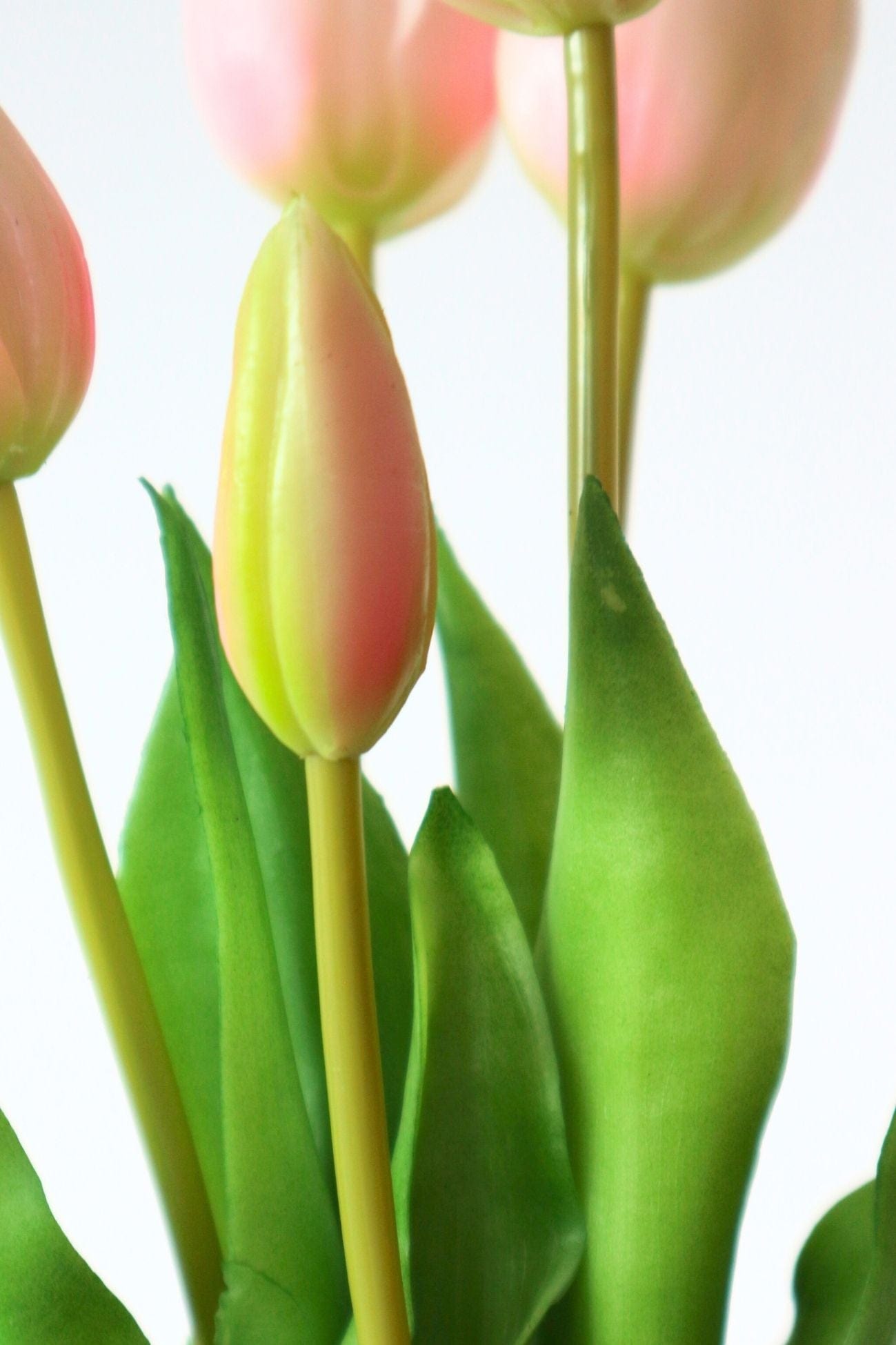 Jolipa Aletheia Aletheia - Mazzo di 5 tulipani artificiali color rosa 40 cm | Jolipa