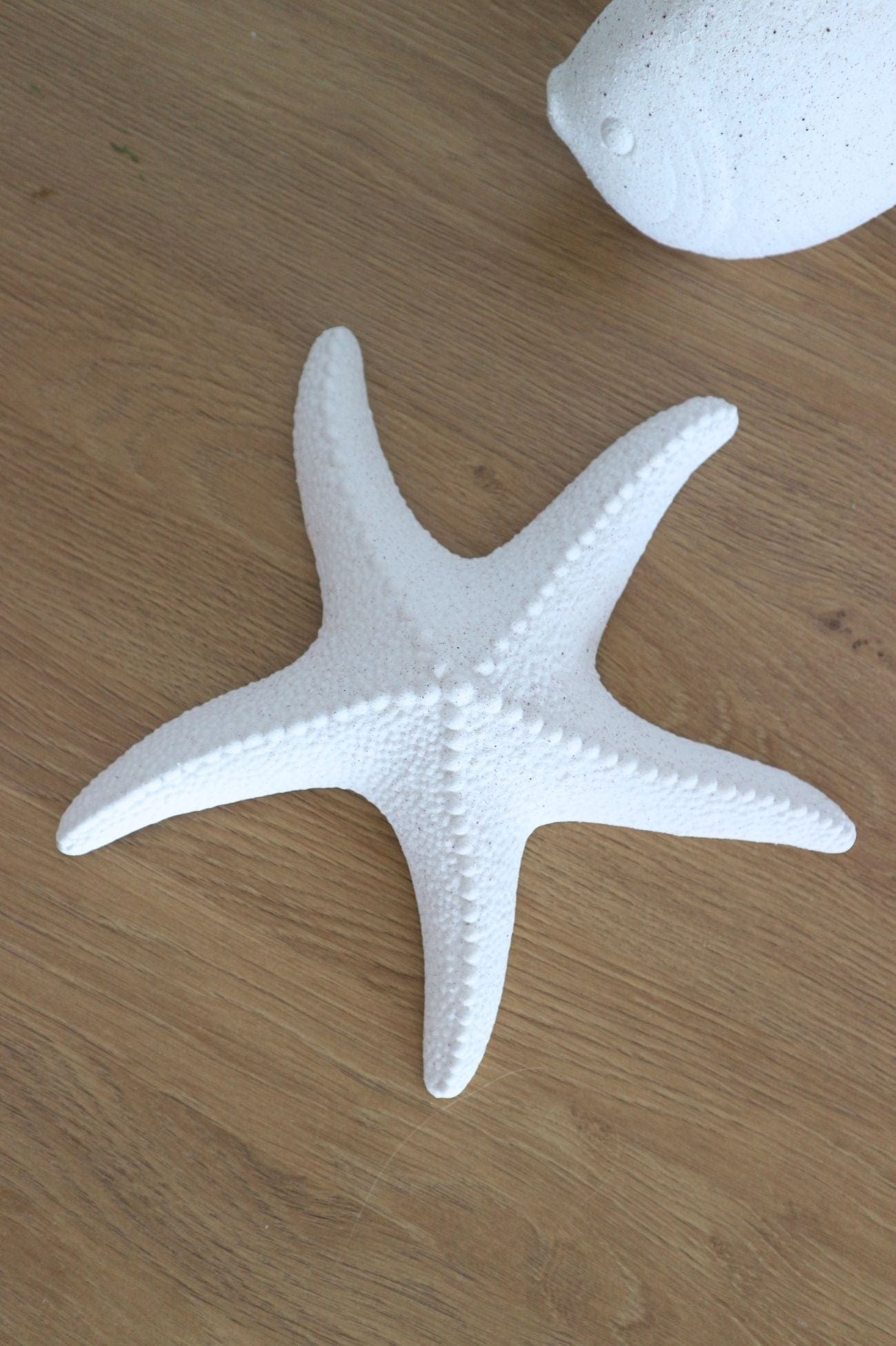 Jolipa Nemo Nemo - Stella marina in porcellana bianca | Jolipa