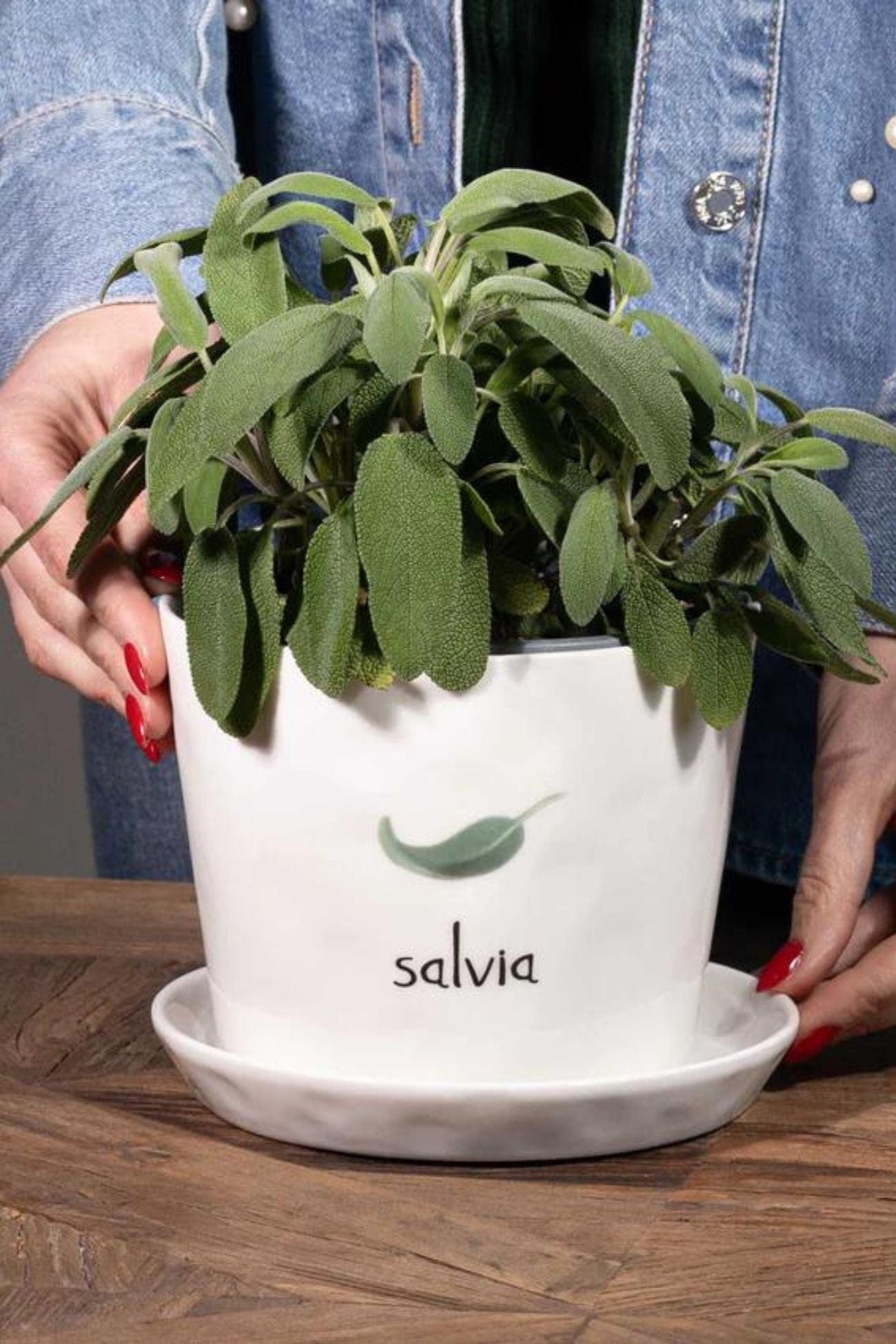 Simple Day Salvia Salvia - Portavaso e sottovaso in gres porcellanato Salvia | Simple Day